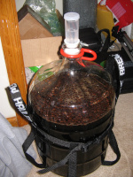 Dry hopping with whole beans