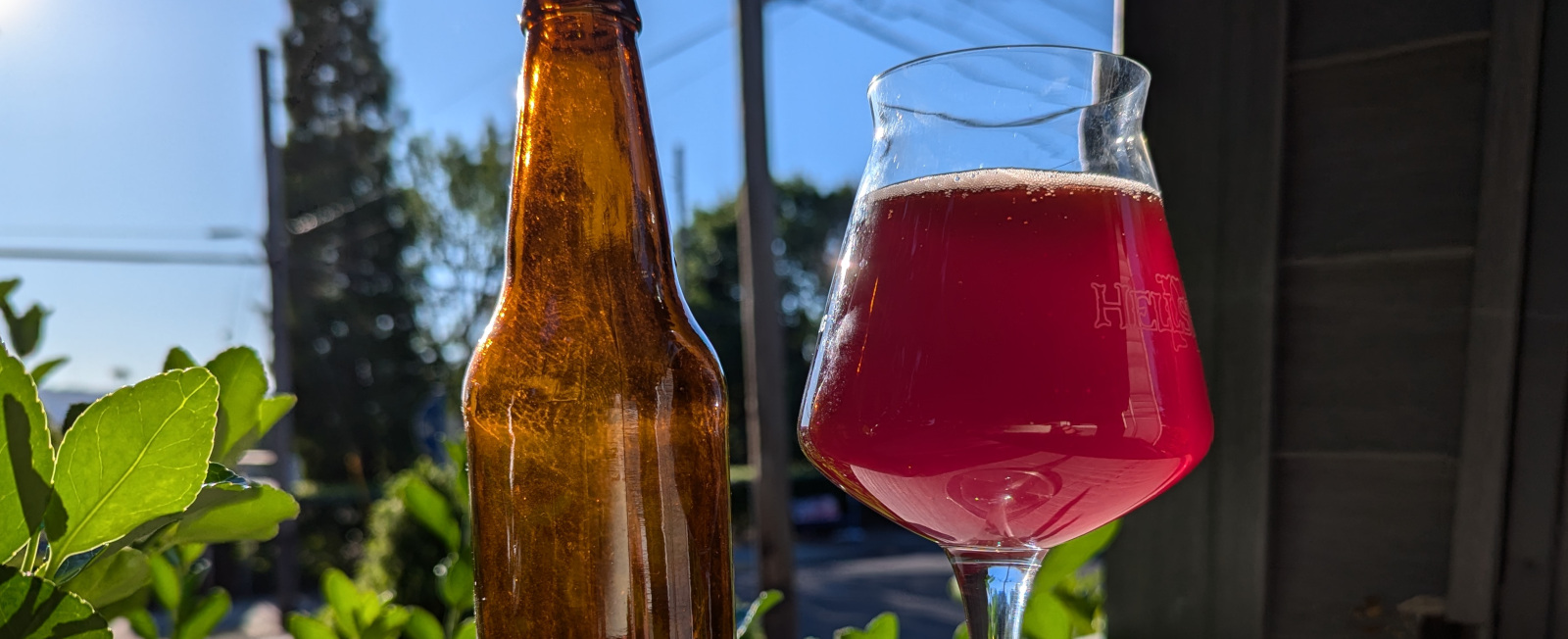 Solera Project: Black Cap Raspberry (2015) (American Wild Ale | 28) - Tasting