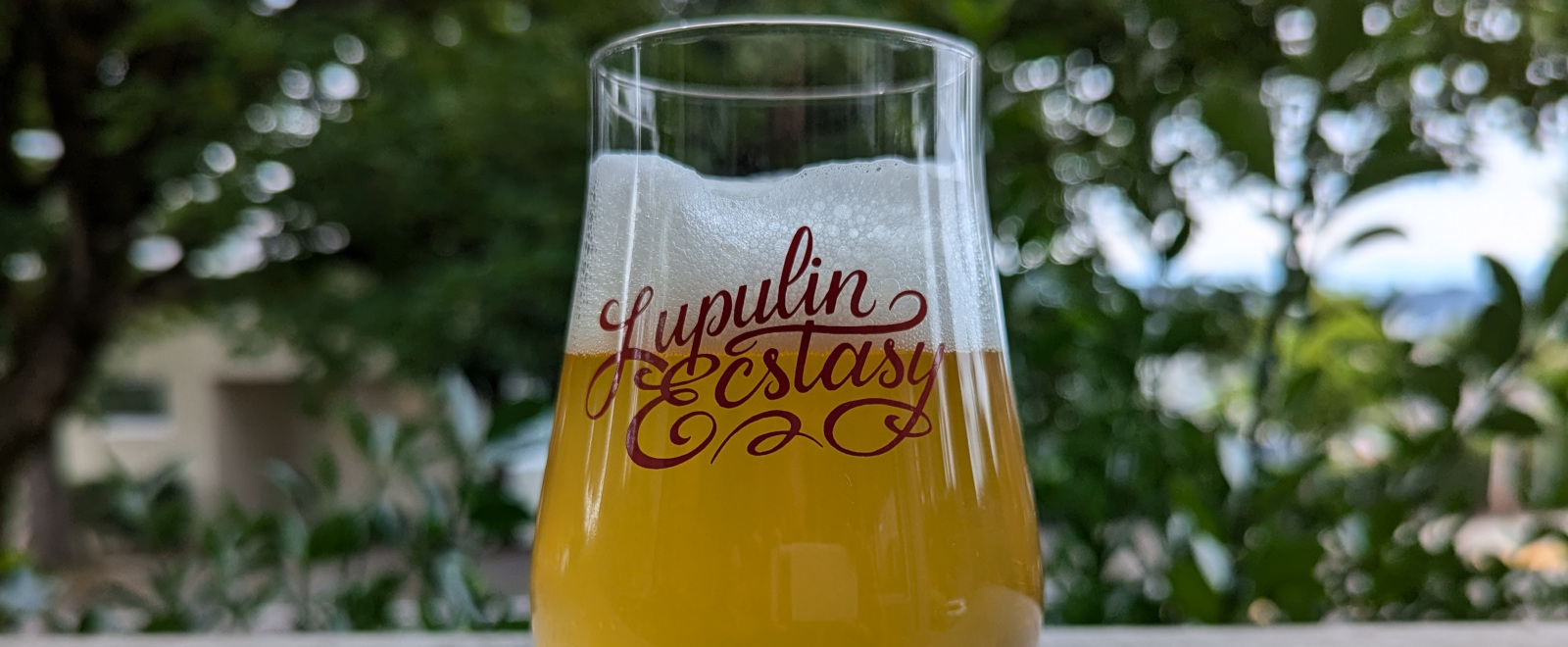 DDH Mister Eyeballs (American IPA | 21A)