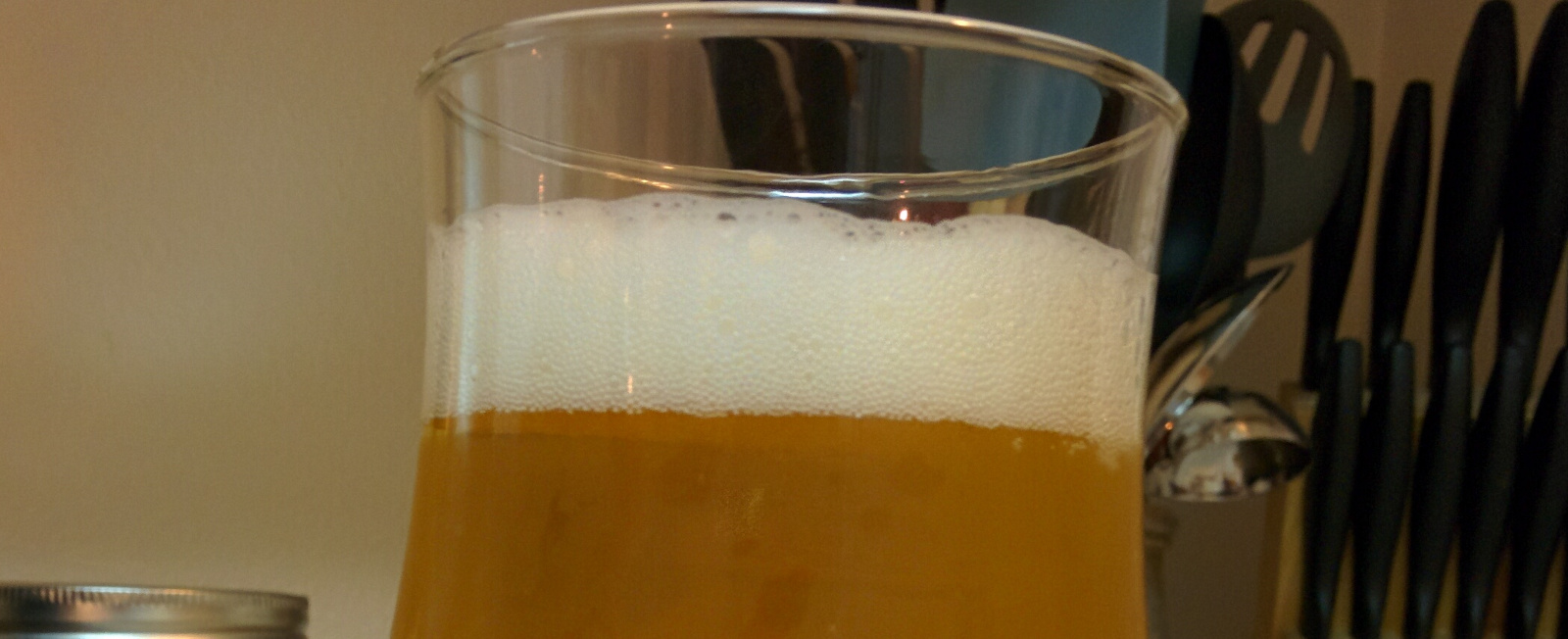 Golden Fruited Sour (Blonde Ale | 18A)