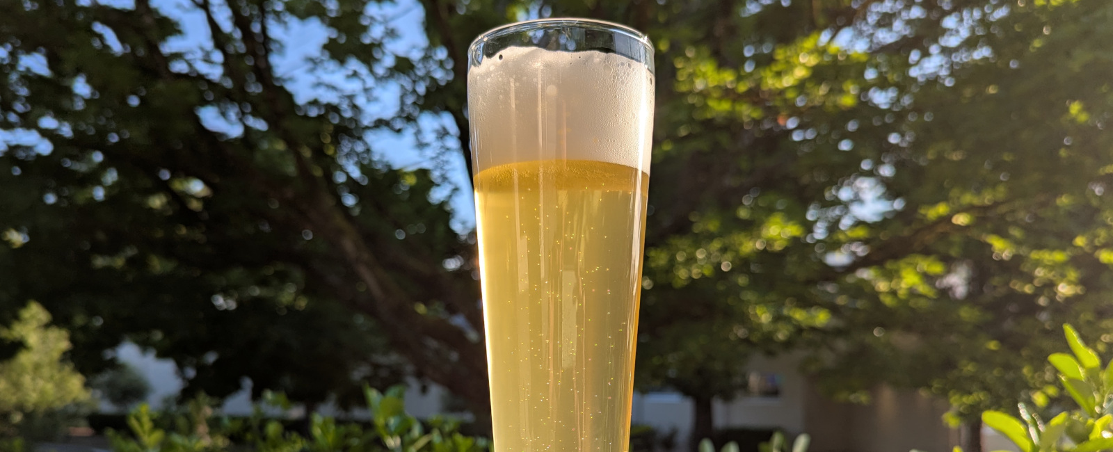 Kiwi Pils V6 (New Zealand Pilsner | X5) - Tasting