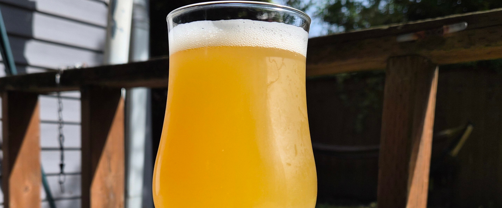 Mosaic of the Beholder (American IPA | 21A)