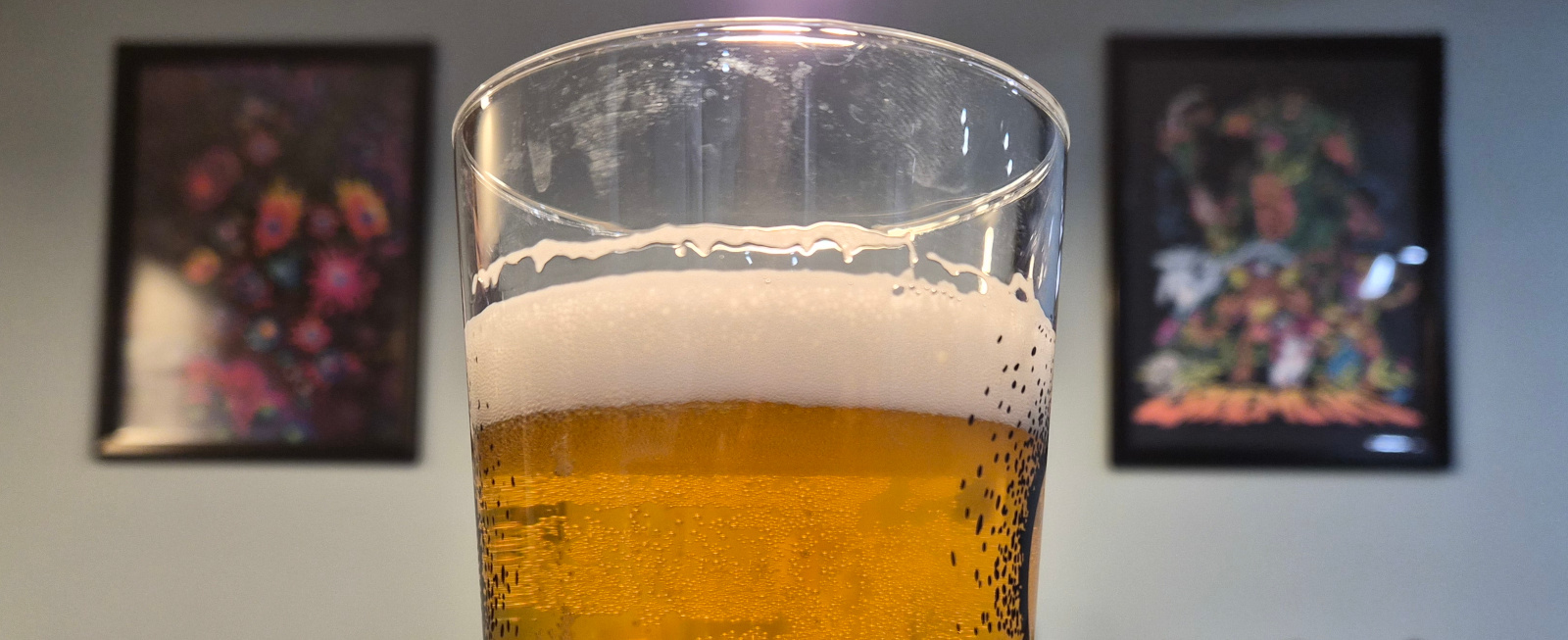 Nelson's Orbit (American IPA | 21A) - Tasting